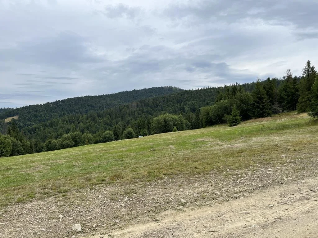 SOTA — Turbacz