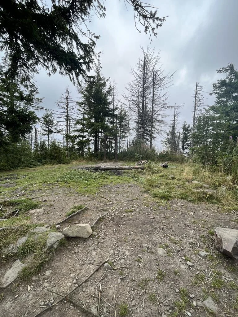 SOTA — Gorc