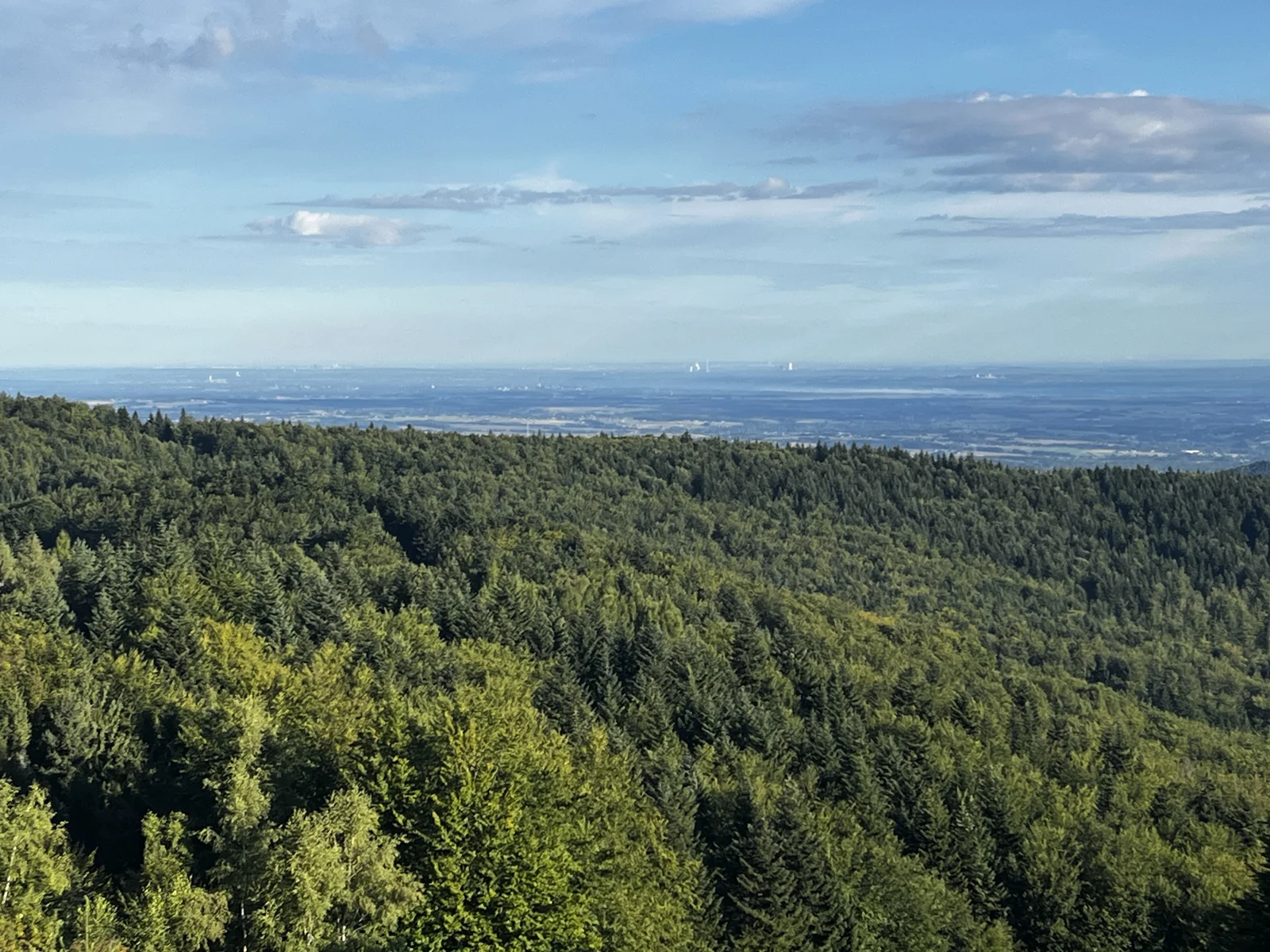 Leskowiec — lato i jesień 2026, zdjęcie 7