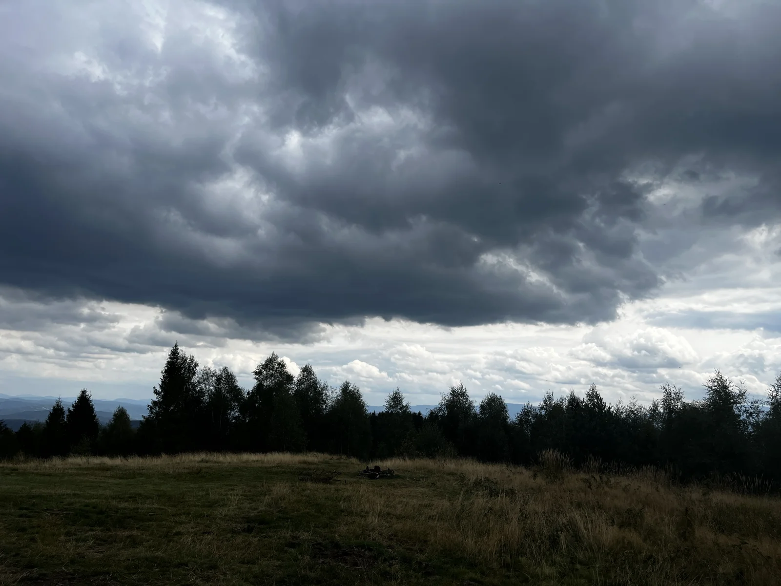 Leskowiec — lato i jesień 2026, zdjęcie 12