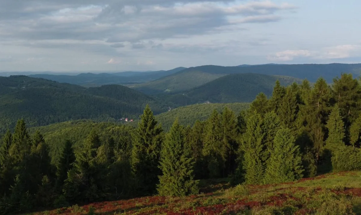 Radiowo, górsko i… z powietrza – Kiczera !