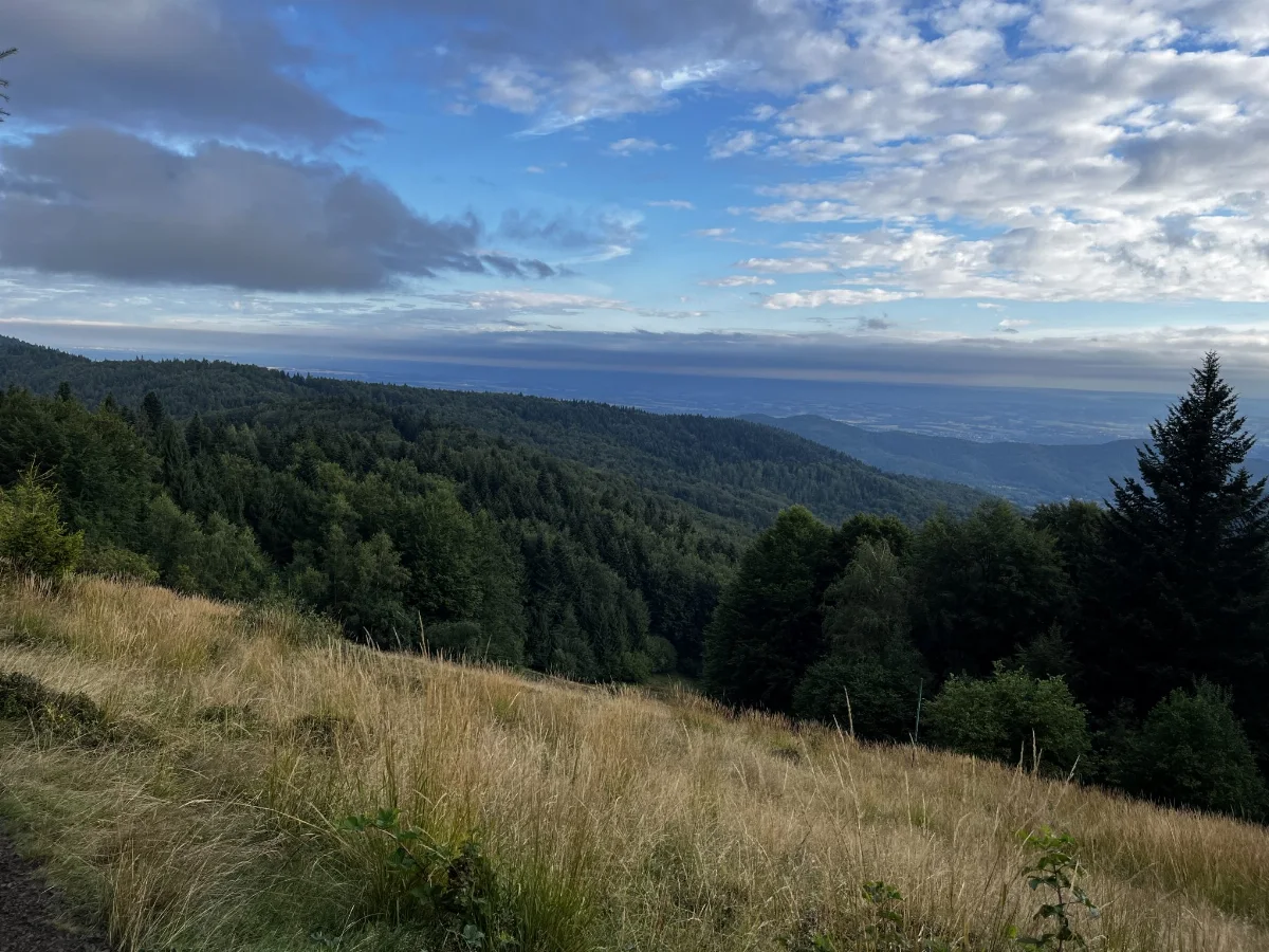 Jak się nie ma co się lubi… czyli poranki na Leskowcu