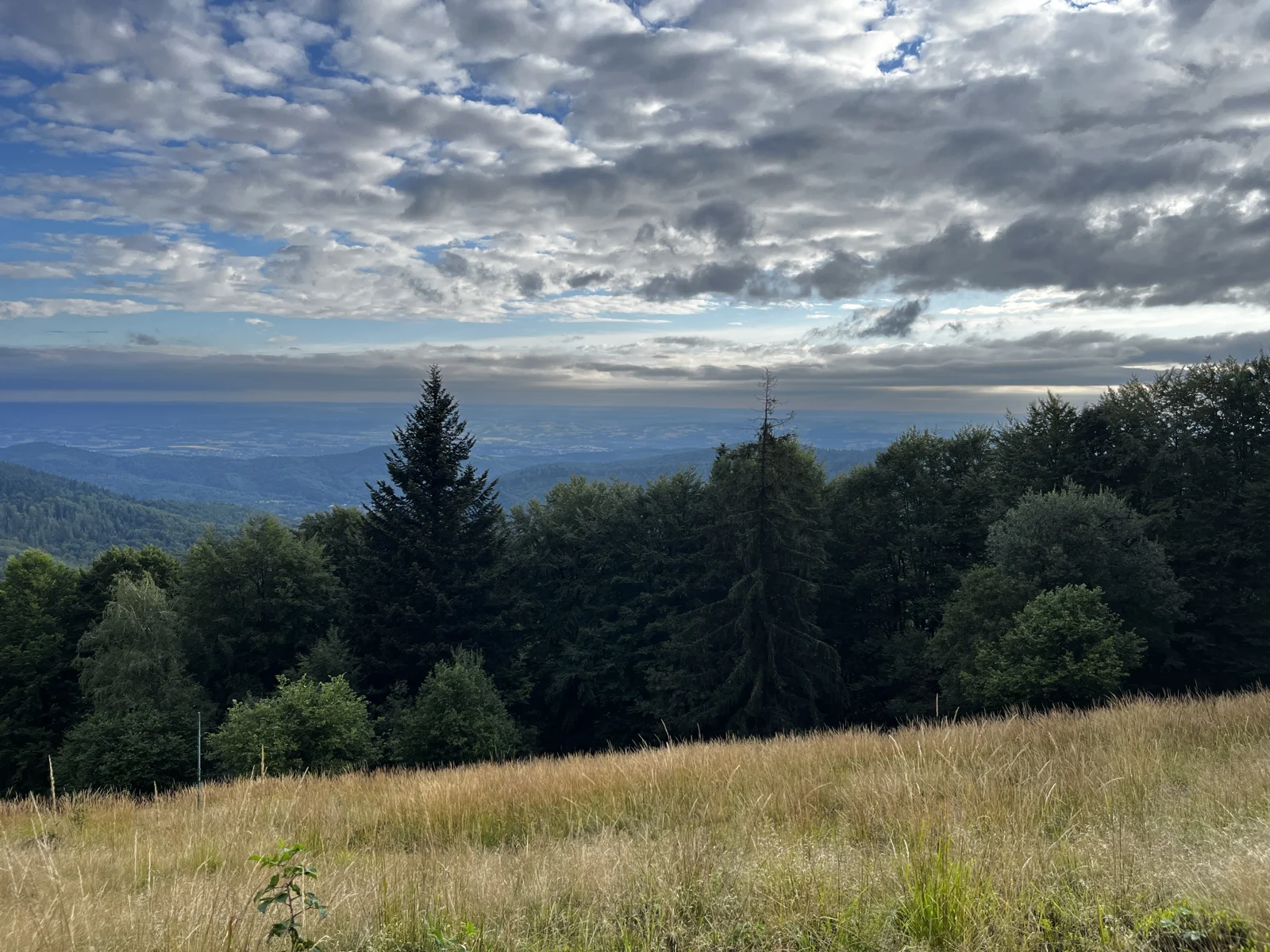 Panorama z Leskowca